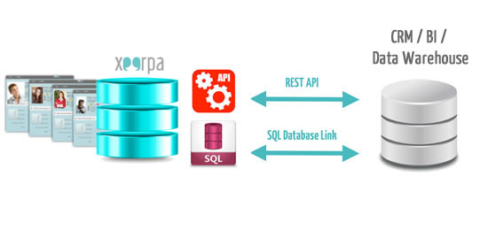 Synchronize your BI platform with Xeerpa through our API o a direct connection to a Relational Database